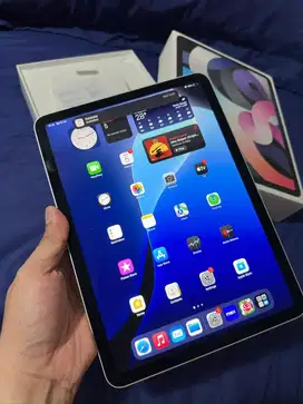 Ipad Air 4 256Gb