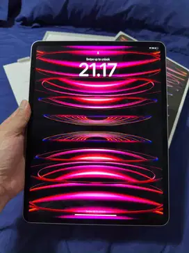 Ipad Pro 12,9 Gen 6 256gb