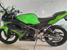 KAWASAKI NINJA RR