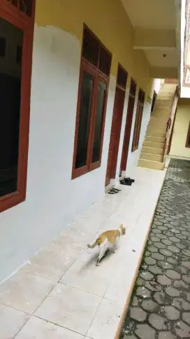 Tukang Cat Bangunan Medan