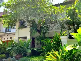 Rumah tropical garden modern bintaro dekat lottemart
