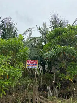 DIJUAL CEPAT TANAH KAVLING