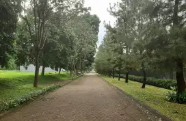 Kavling Bukit Menteng Bintaro Jaya, bentuk kotak siap bangun