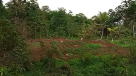 Dijual cepat Tanah