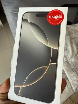 16 pro max 256gb