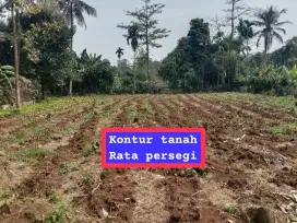Jual tanah kebun murah Kemang parung bgr