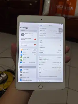 iPad Mini 5 64GB Gold Wifi + Celluler Ex iBox Resmi