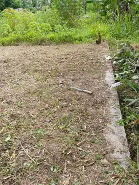 Dijual tanah palur dekat luwes