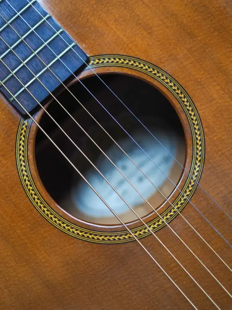 washburn sj-20s