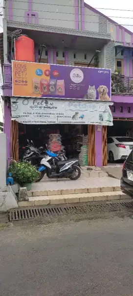 Penitipan Khusus Kucing