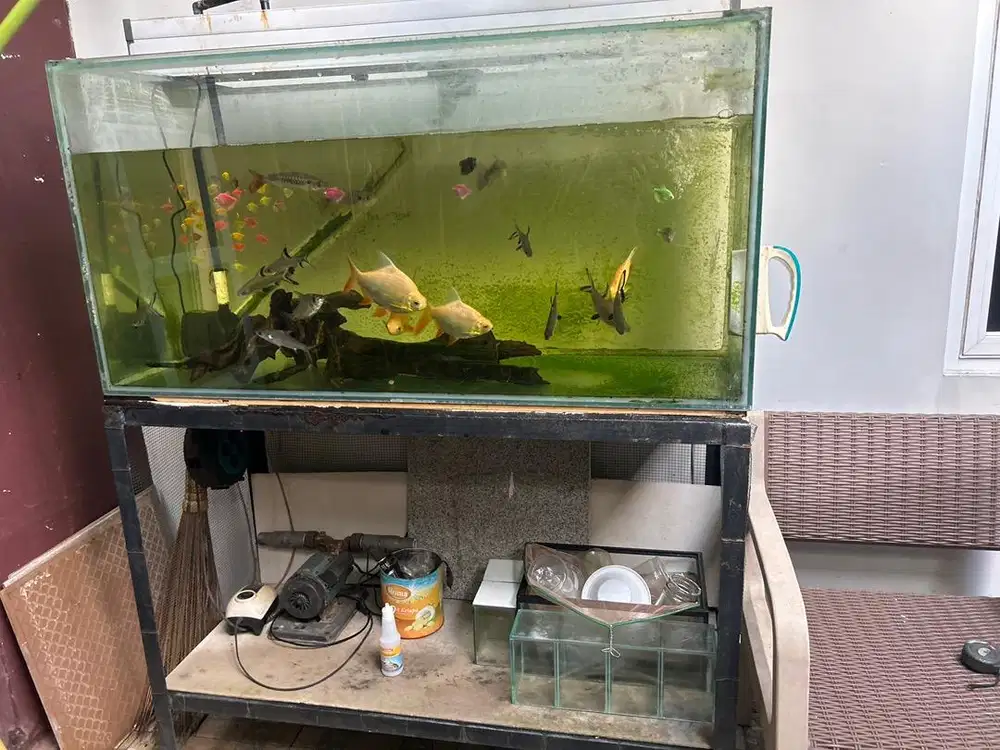 Jual Santai Aquarium 120x50x60 komplit dengan Rak