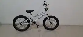 Sepeda Senator 20 inch big wheel
