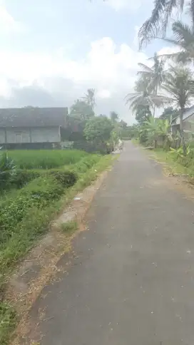 Dijual tanah murah 1 juta permeter di jl palagan km 13 Jetis suruh