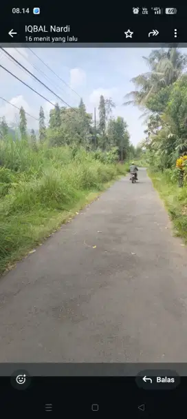 Disewakan tanah murah jl palagan km 13 maron Donoharjo Ngaglik