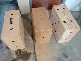 Box untuk kirim ayam seperti baru
