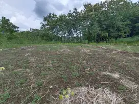 Tanah pekarangan shm luas 3406m² di ponjong wonosari