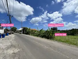 FOR SALE: Premium Land with Good Feng Shui in Pererenan