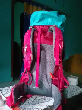 Consina terrebi