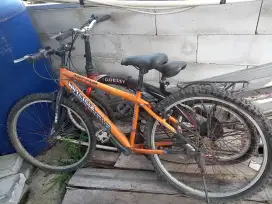Di jual 2 sepeda gunung merk wimcycle dan odessy.satuan juga bisa