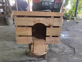 Jual dan terima pesanan gupon merpati area Poris Cipondoh Tangerang