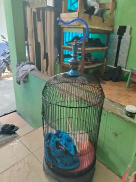 Sangkar beli love bird merek panda
