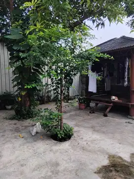 Perumahan Western Regency Raya Sememi Jaya Surabaya Barat SHM IMB
