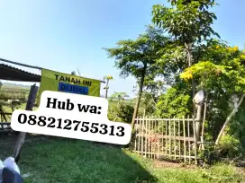 Tanah di jual  tanah darat siap bangun