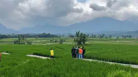 Gak perlu beli beras seumur hidup