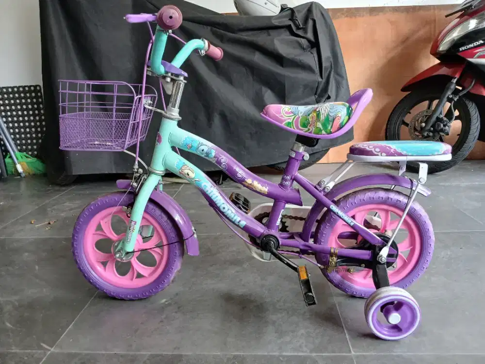 Sepeda Anak merk Chamomile