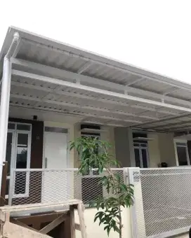 Canopy alderon 31