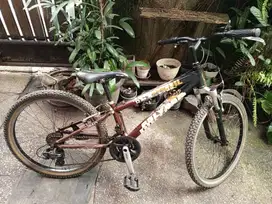 Sepeda mtb Polygon Recoil