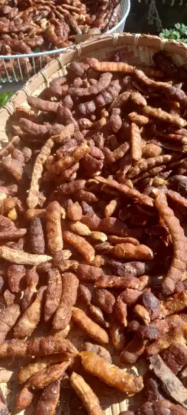 Jual Asam Jawa kualitas terbaik