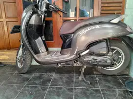 Honda scoopy 2019