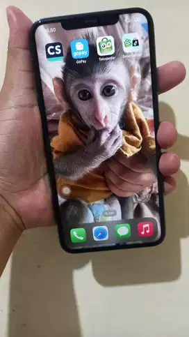 Iphone 11 promax 256gb green