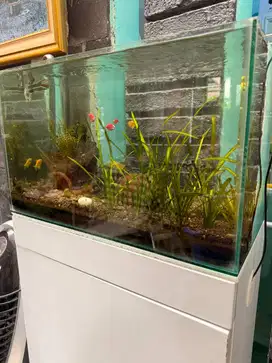 Aquascape Lengkap Siap Huni – Aquarium 45x35x40 + Meja + Filter + Lamp