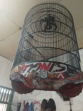 Bismillah pnya kndang muray.no 1 msh lyk pakai nomines mnt wa