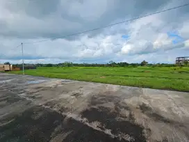 TANAH MURAH DI AREA PANTAI KEDUNGU TABANAN BALI