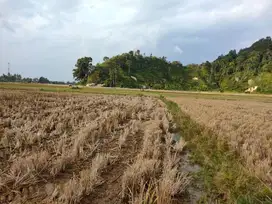 DIJUAL TANAH STRATEGIS 10.513 m² – Dekat Bandara, Tol, dan Asrama Haji