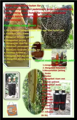 Madu asli baduy