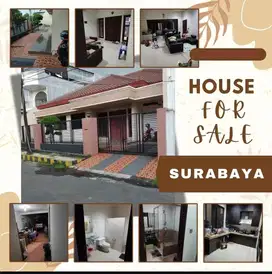 Jeffry- DiJual Rumah di JL KUPANG INDAH , Sukomanunggal , Surabaya