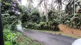 Jual tanah kebun lebih tinggi dari jalan di tabanan bali