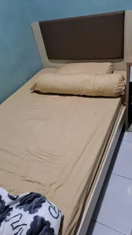 Divan+ headboard 120x200