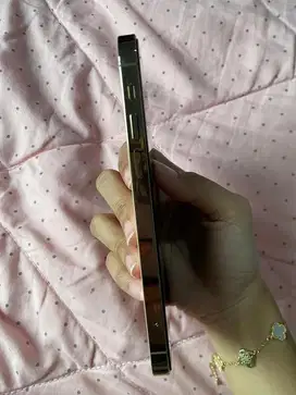 Iphone 12 pro 512 GB