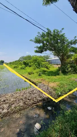 Jeffry- DiJual Tanah di JL RAYA SIDOGIRI , Kraton , Pasuruan