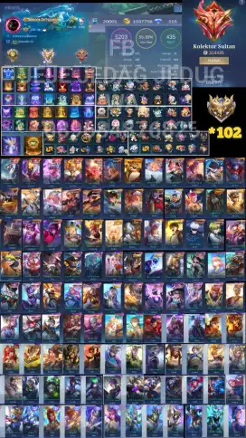 Akun mobile legend sultan
