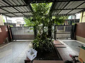Rumah disewakan
