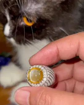 Permata Chrysoberyl Cat's Eye Ring Emas Berlian