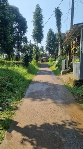 Di Jual Tanah di belakang jalan Bomang