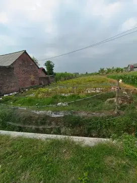 Di jual tanah kawasan sekolah di Jombang Jawa Timur