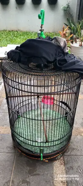 Kandang Burung Murai No 2 Kayu Ebod Jaya